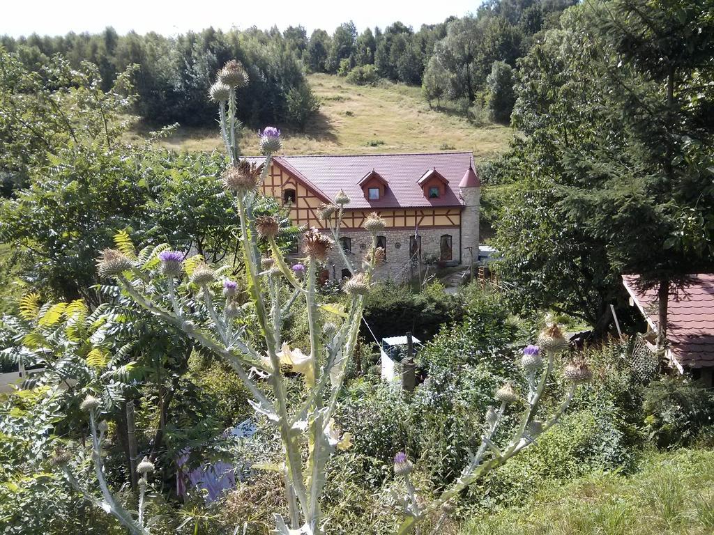 Bed and Breakfast Zbojna Debra Ґолеюв Екстер'єр фото