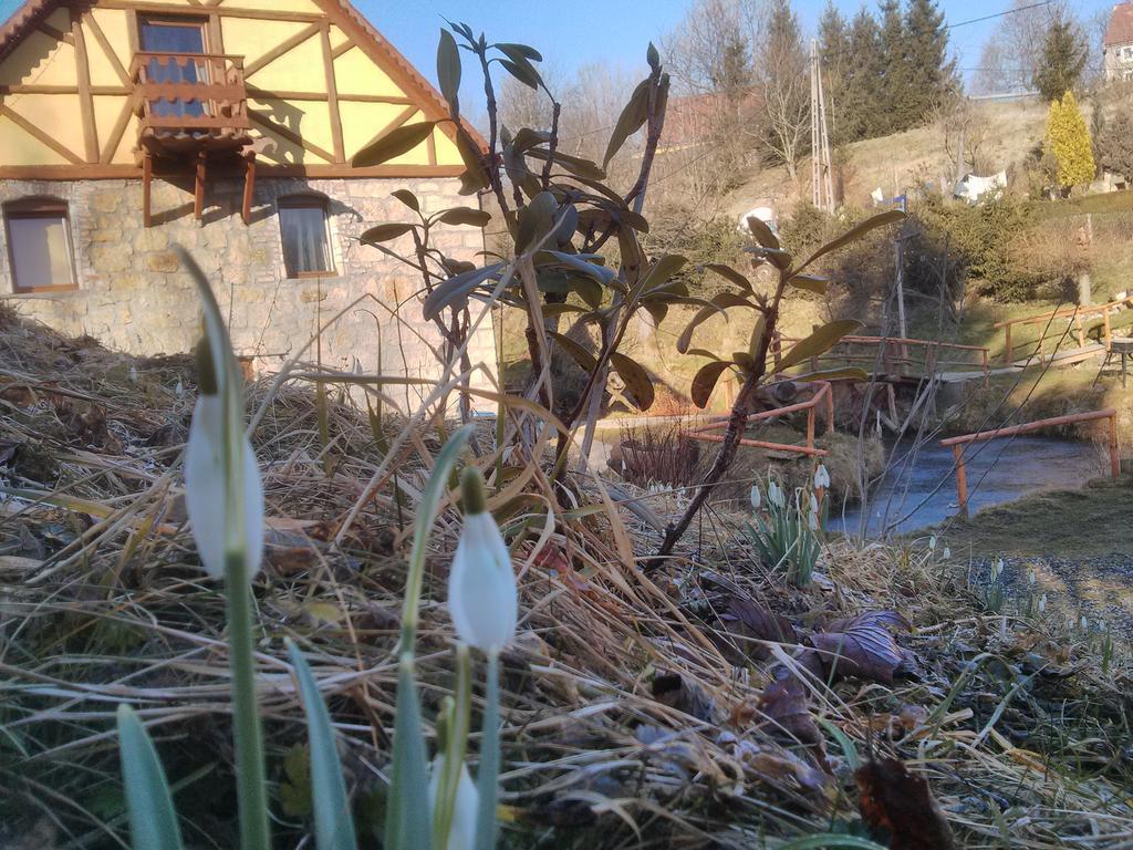 Bed and Breakfast Zbojna Debra Ґолеюв Номер фото